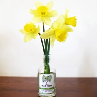 Willow Tree Gin Events April 2019