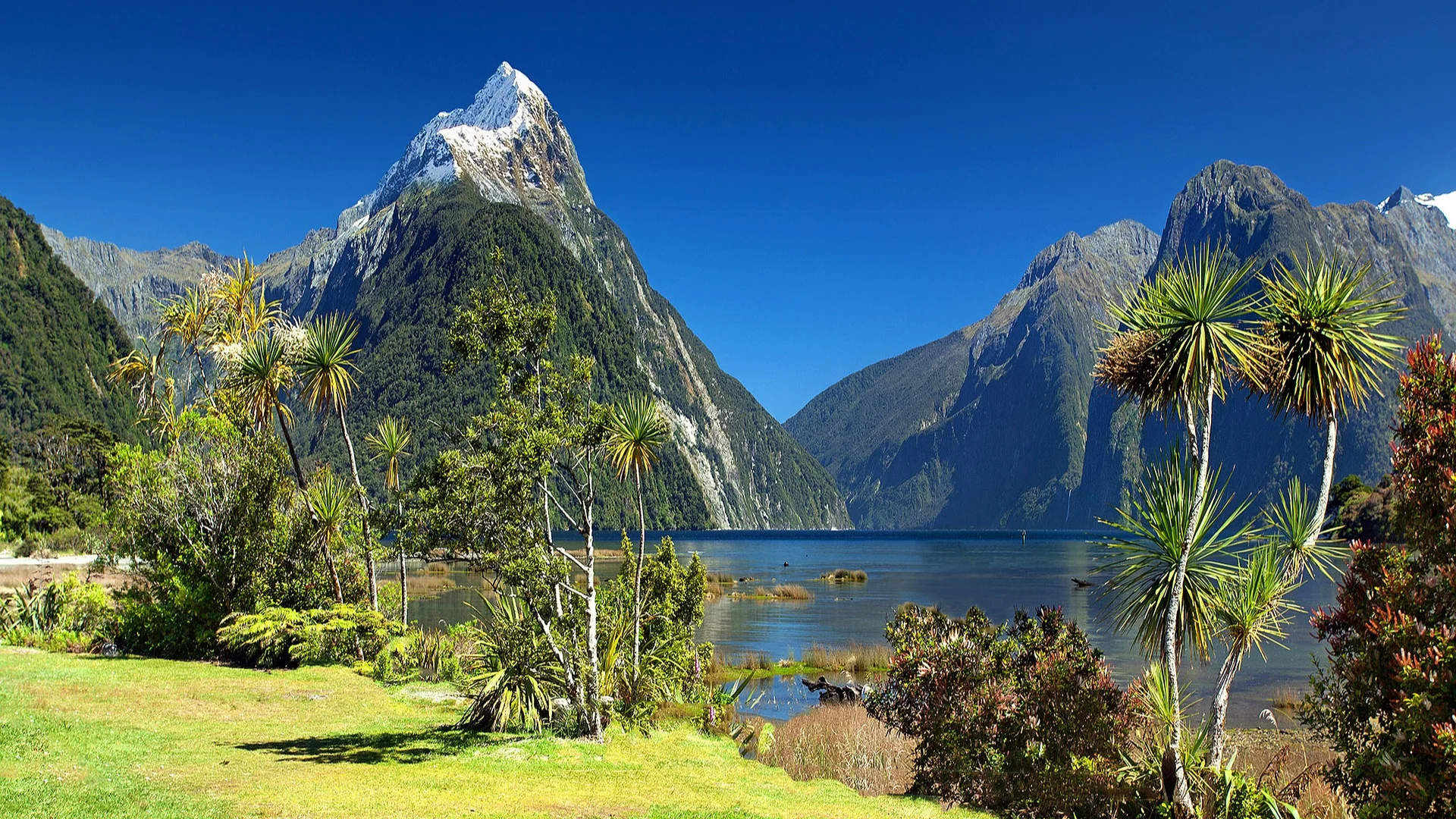 17-day Highlights of the South Pacific