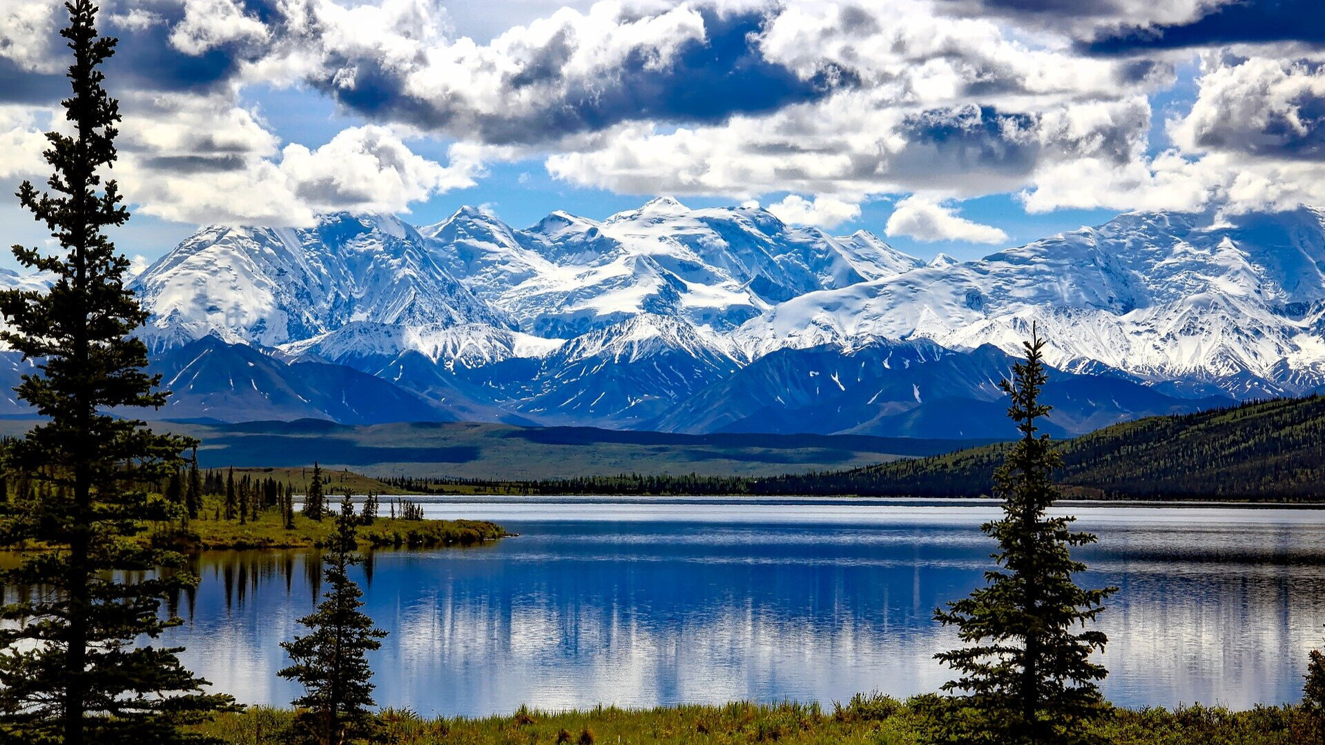 13-day Nature's Best: Alaska with Alaska Cruise