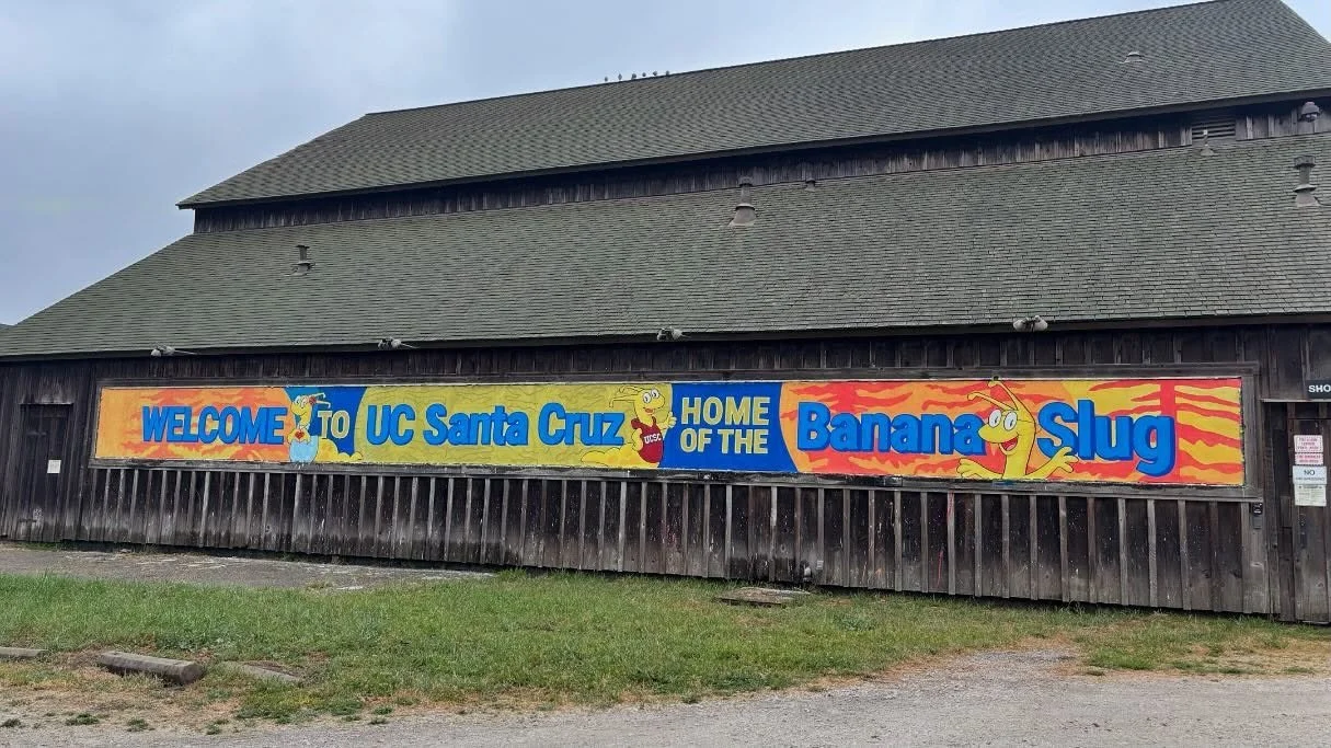 UC Santa Cruz is the beachiest, punkiest UC campus&mdash; where else has the yellow banana slug as its mascot? Nestled in the redwood forested foothills of the Santa Cruz mountains and spilling down to the beach for its Coastal Science Facility, UCSC