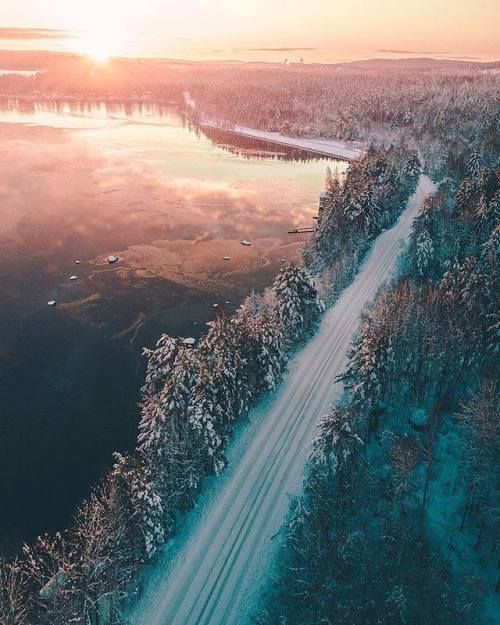 Sustainability article. Image of Swedish road surrounded by forests