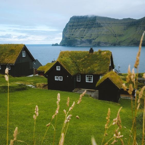 Sustainability article. Image of Danish coastal view with houses