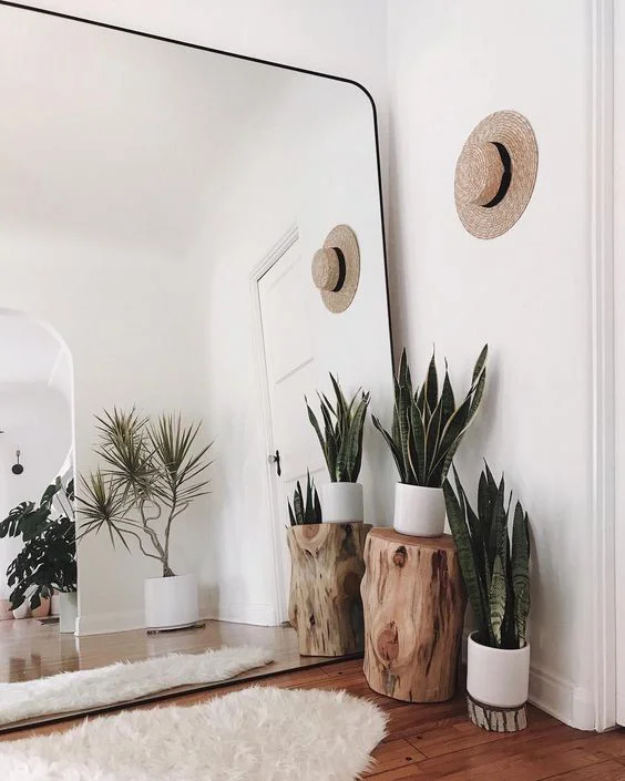 Rented Apartment article. Image of a fresh, white-walled apartment.jpg