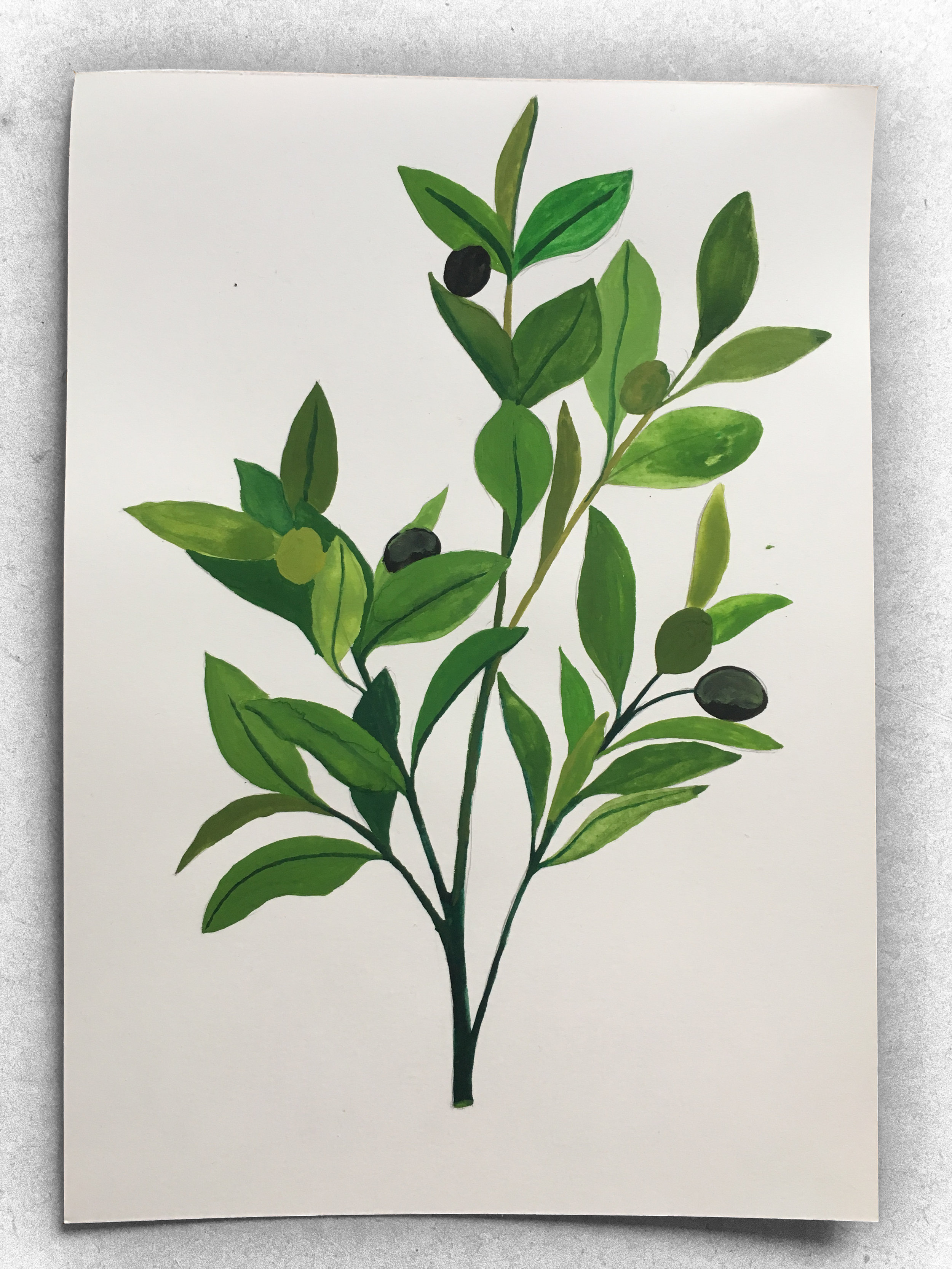 How to make a poster article. Image of Olea Europaea poster fully painted