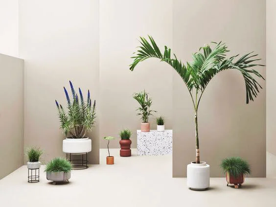 Find_Scandi_Design_Online_Bolia.jpg