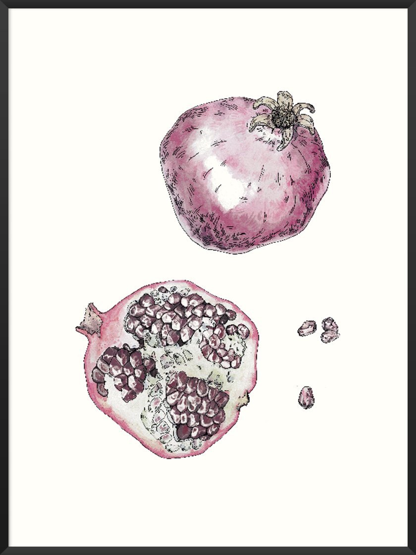 Foods that will save the planet article. Image of Vintage Botanical Pomegranate poster