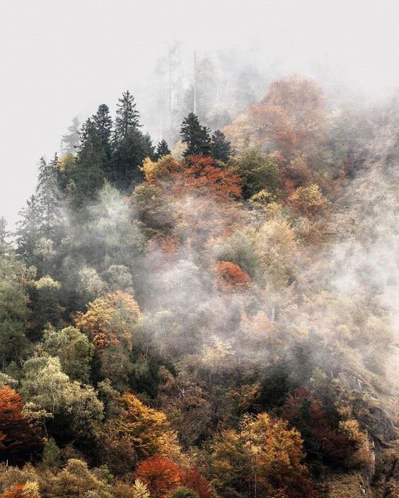 Fall_Interior_Design_Tips_Colours.jpg