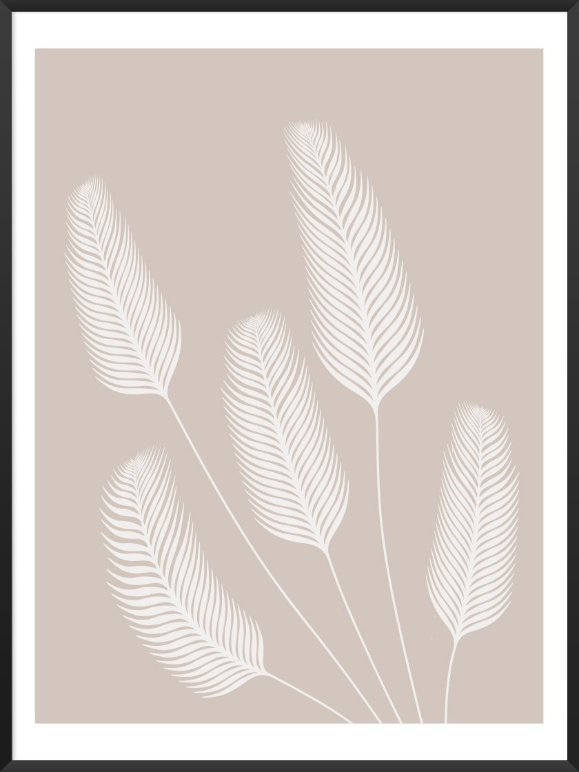 Pampas Grass