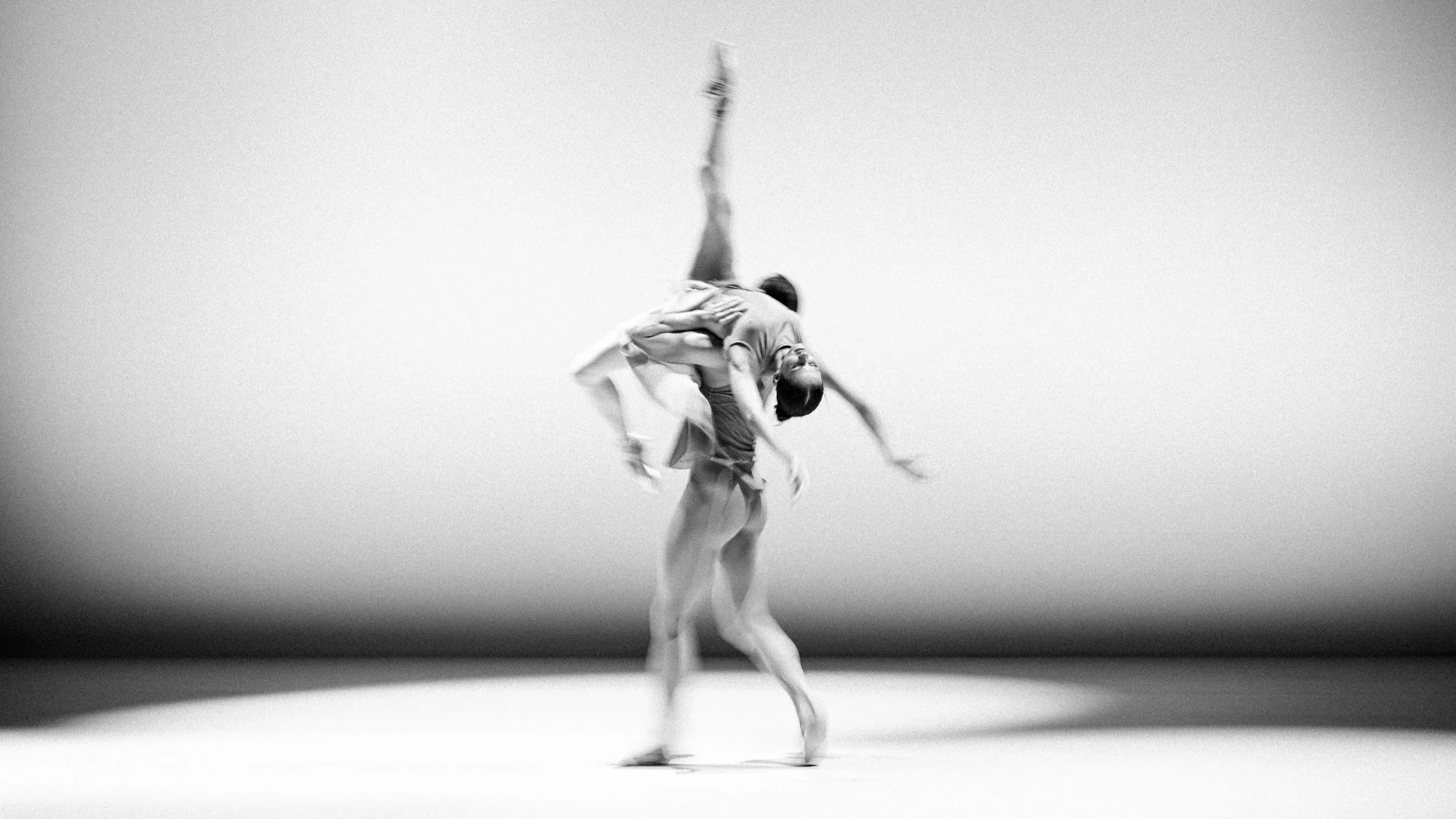 THE PRINCIPLES OF CLASSICAL DANCE