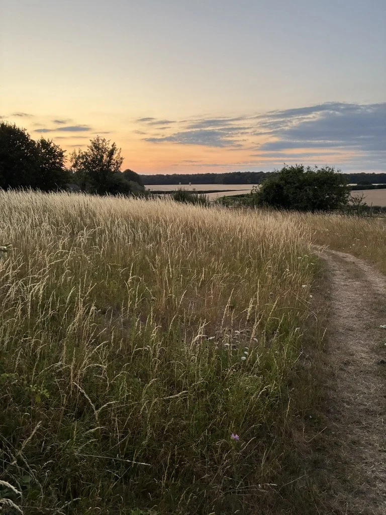7F080039-C4CF-4328-9B0C-E3BA69776F7D_1_105_c.jpeg