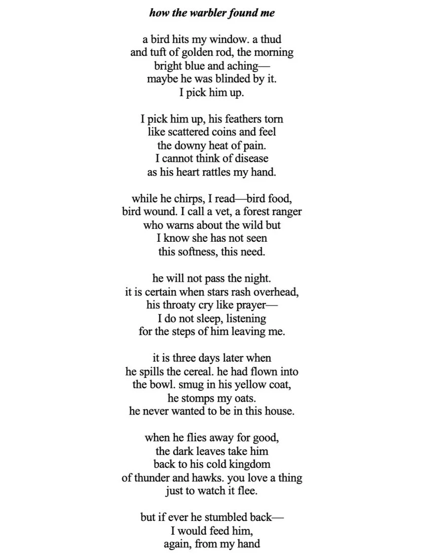 Screen Shot 2023-02-05 at 12.15.13 AM.jpg