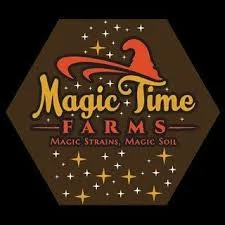 magic time logo.jpg