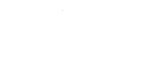 The Esthetic Institute