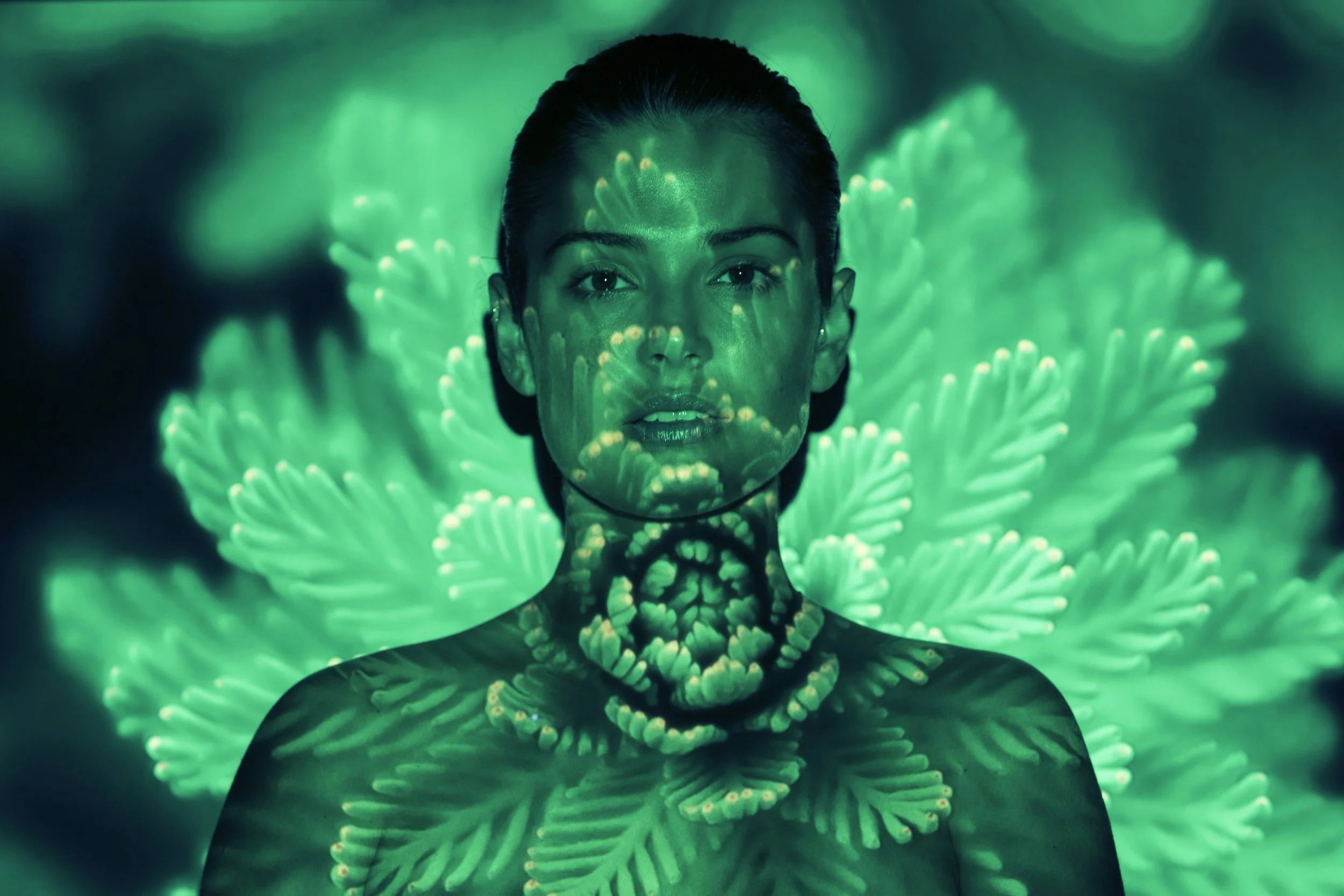 Layer 0 (1).jpeg