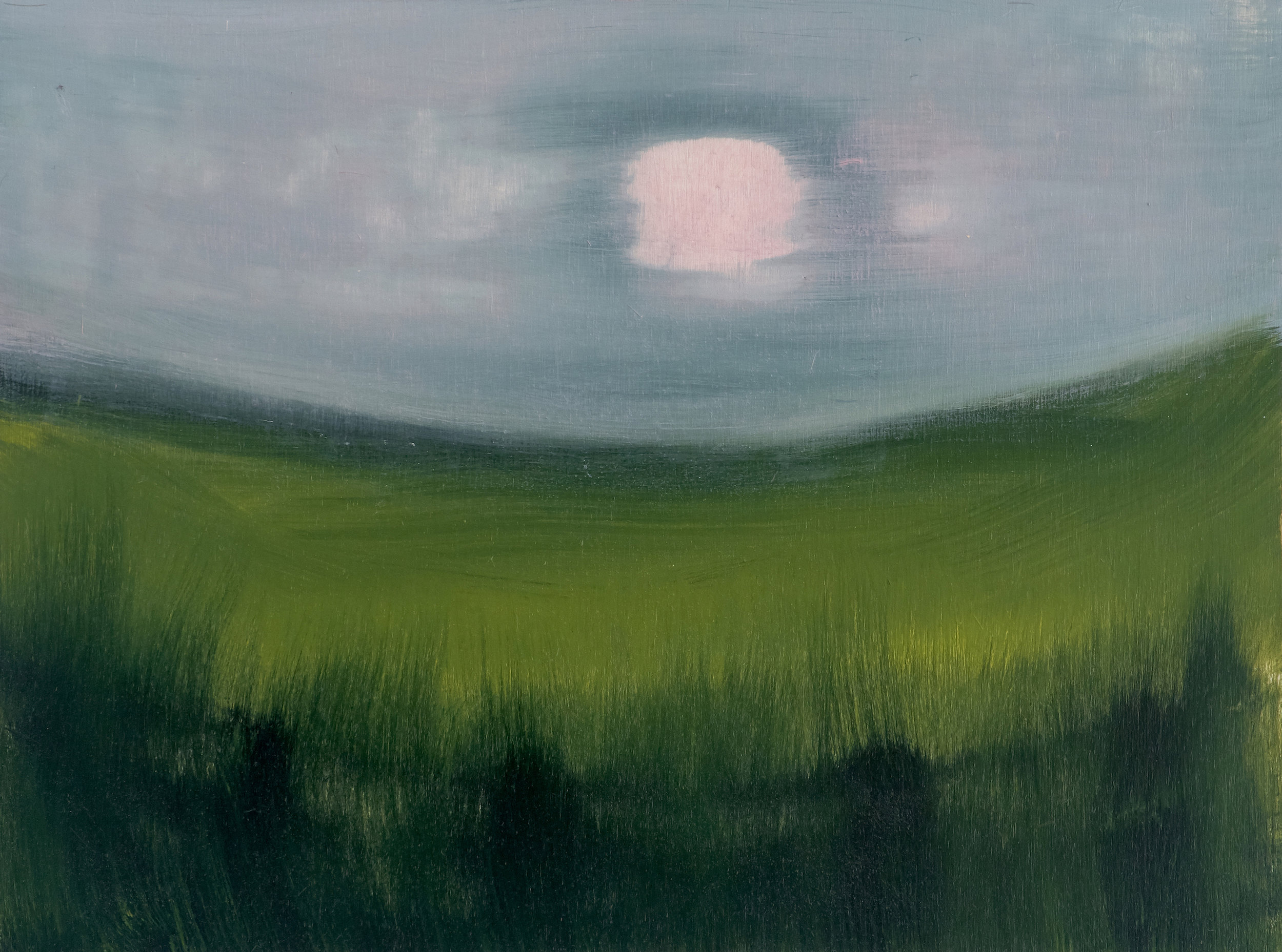 Grass3MB.jpg