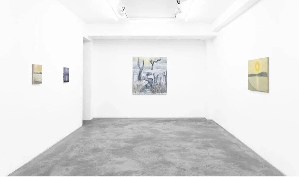 Huxley-Parlour, Weather (solo show), 2026