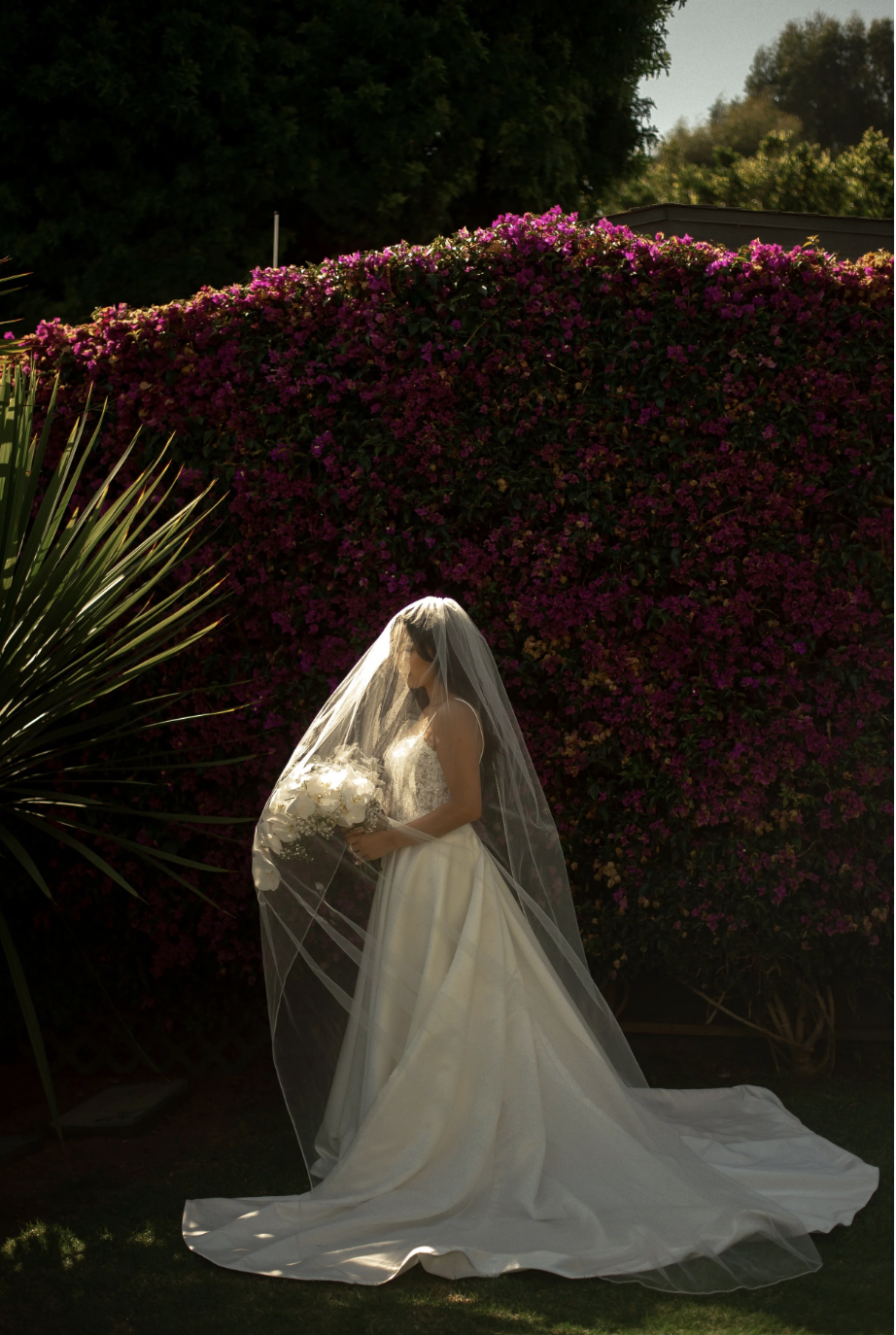 Screen Shot 2026-03-11 at 4.53.44 PM.png