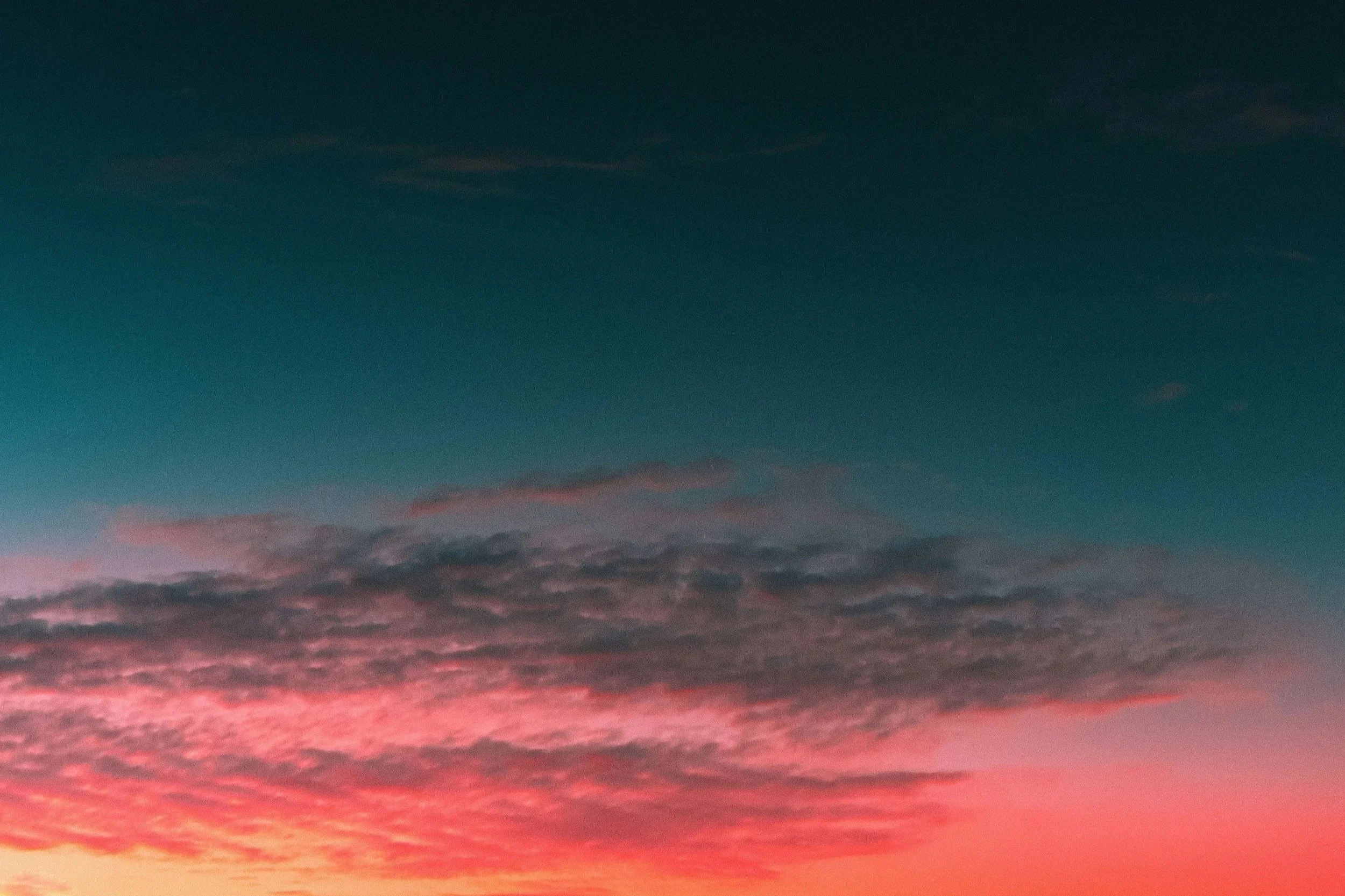 ameenfahmy-j5MZA0DijS8-unsplash.jpg