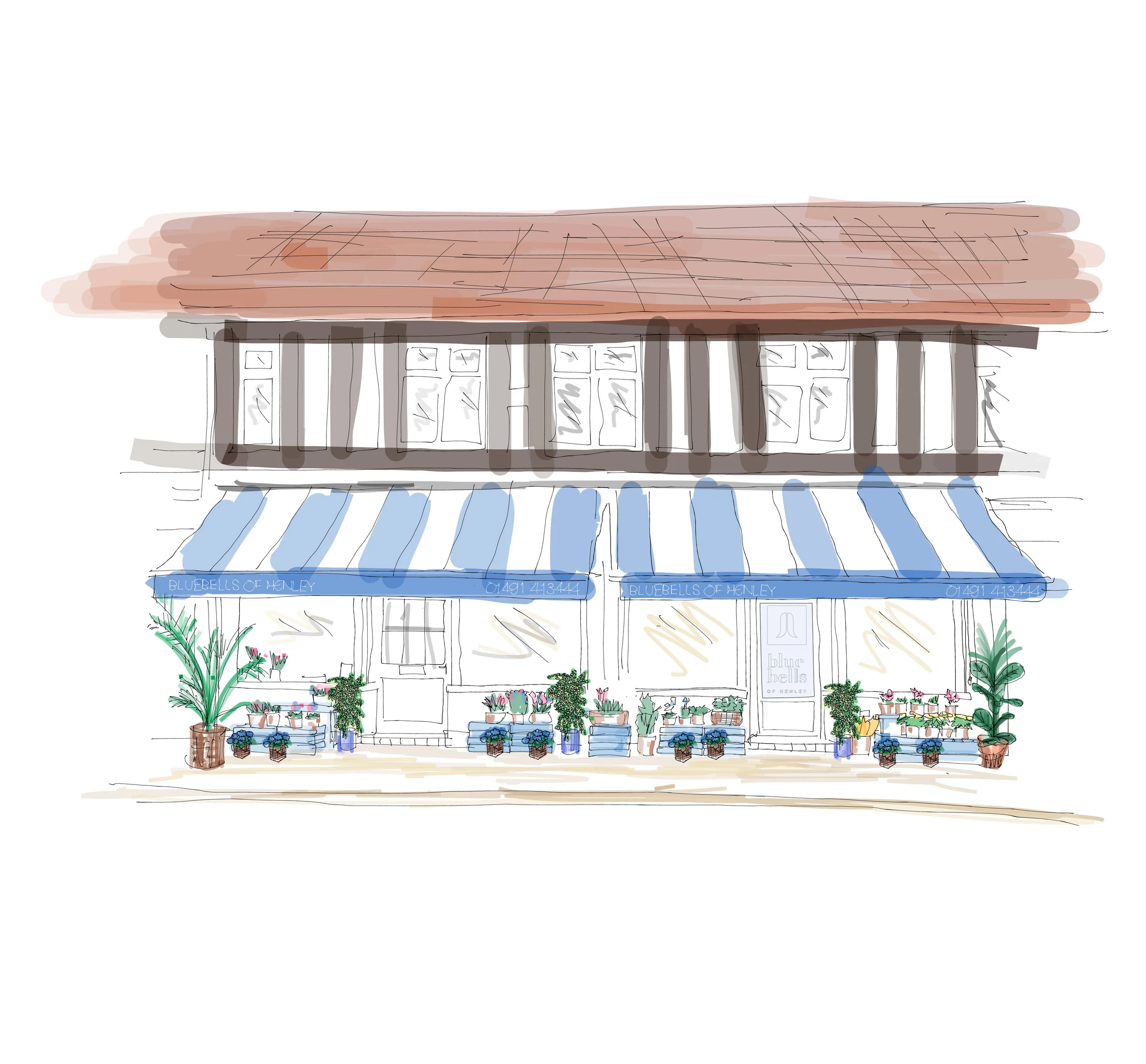 bluebells-of-henley-florist-flowers-shop-sketch-01a-01.jpg