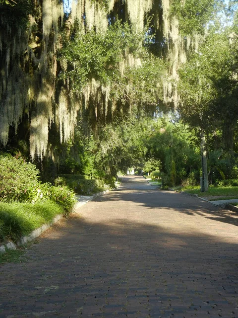 winter park
