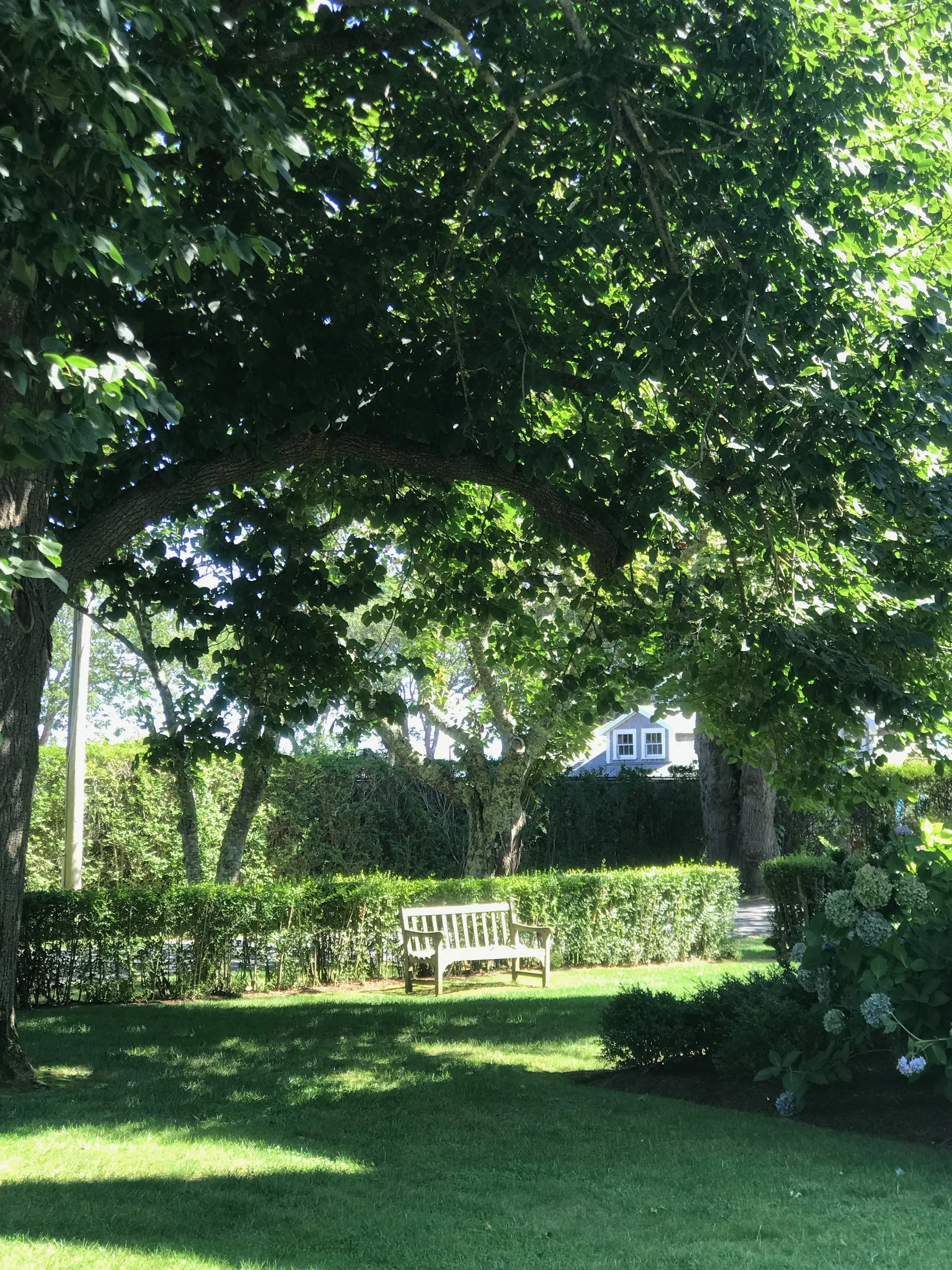 IMG_0161.jpeg