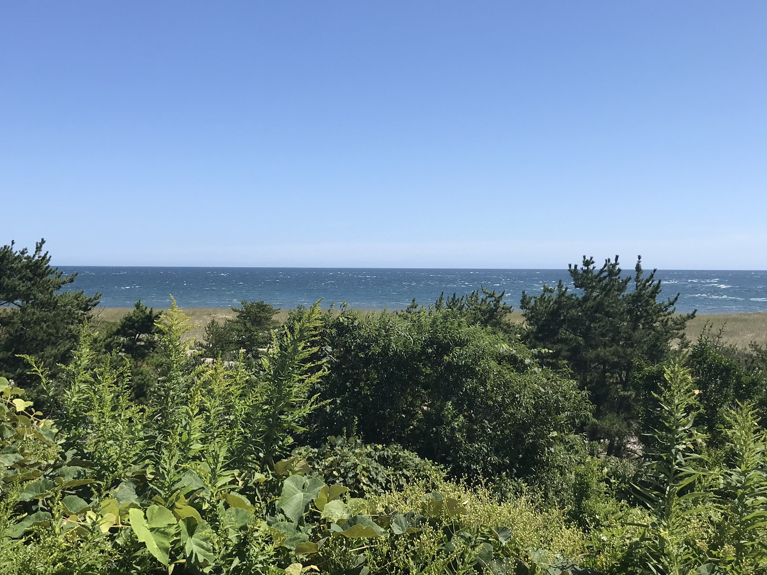 IMG_0122.jpeg