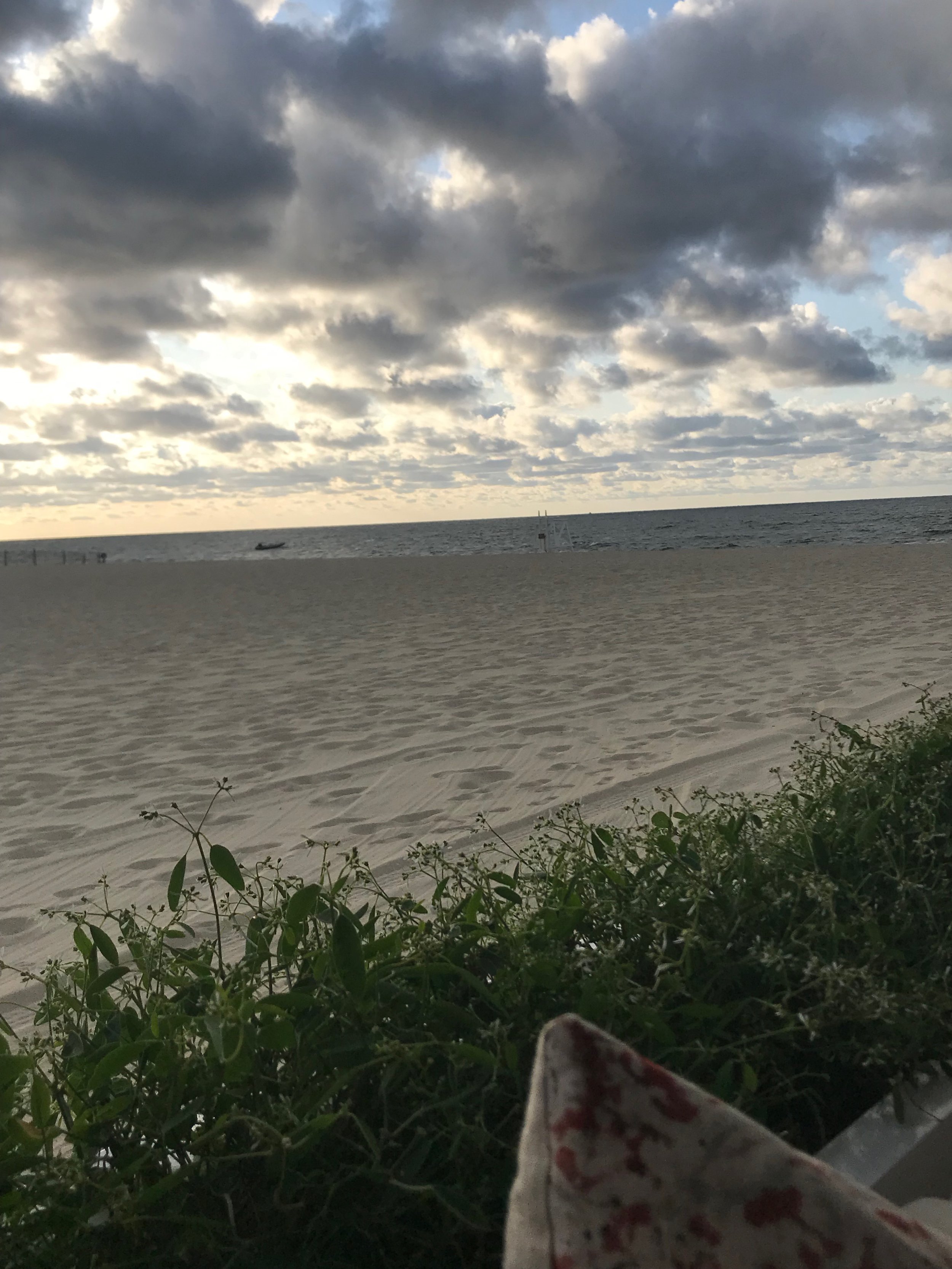 IMG_0259.jpeg