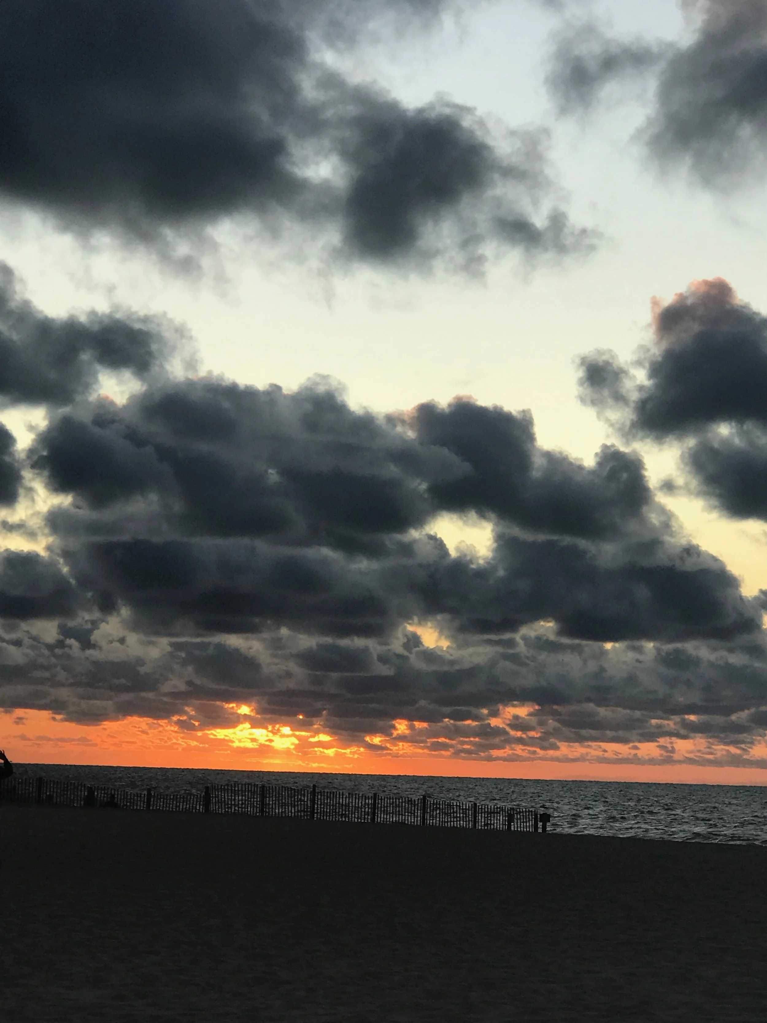 IMG_0270.jpeg