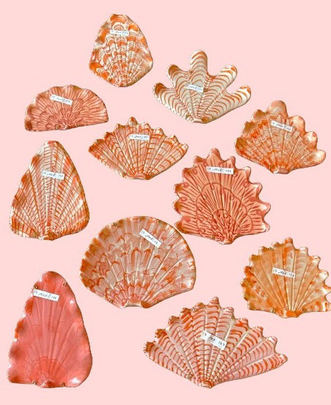 &hellip;
🍊 A magnificent monochromatic coral colored collection of shellegance shells in stock now! 
🍊 Swipe to see the most beautiful green collection adorning an outdoor shower! 
🍊 An orange and navy collection as well as an unglazed animal prin