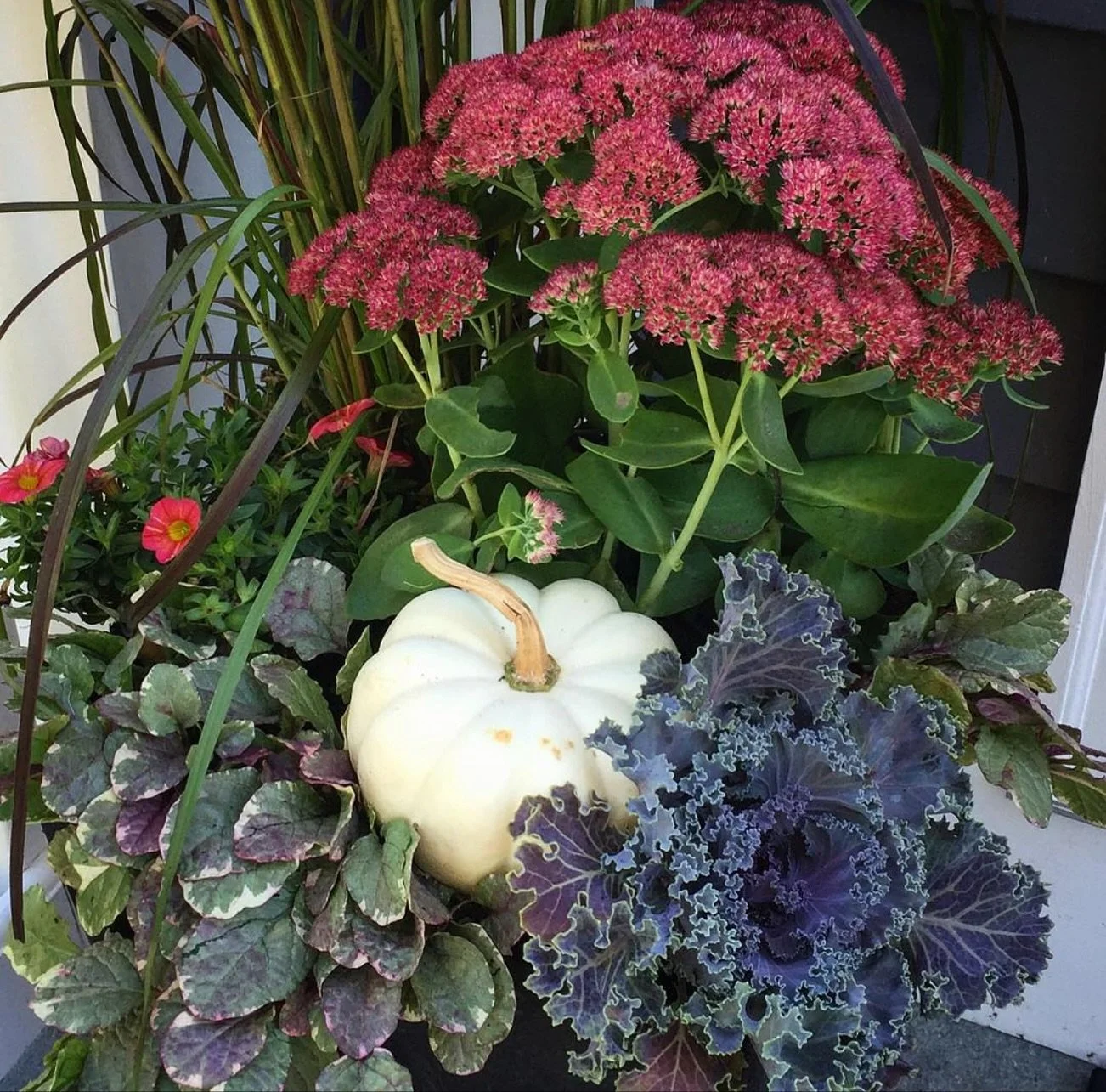 Instagram love @thistlecontainers 🥬