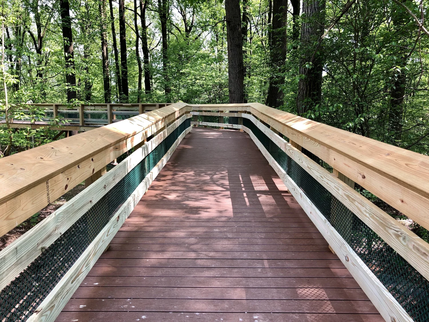 Top-Down Construction Boardwalk Video: Foundations Built from the Ground (3), image size:1500x1125