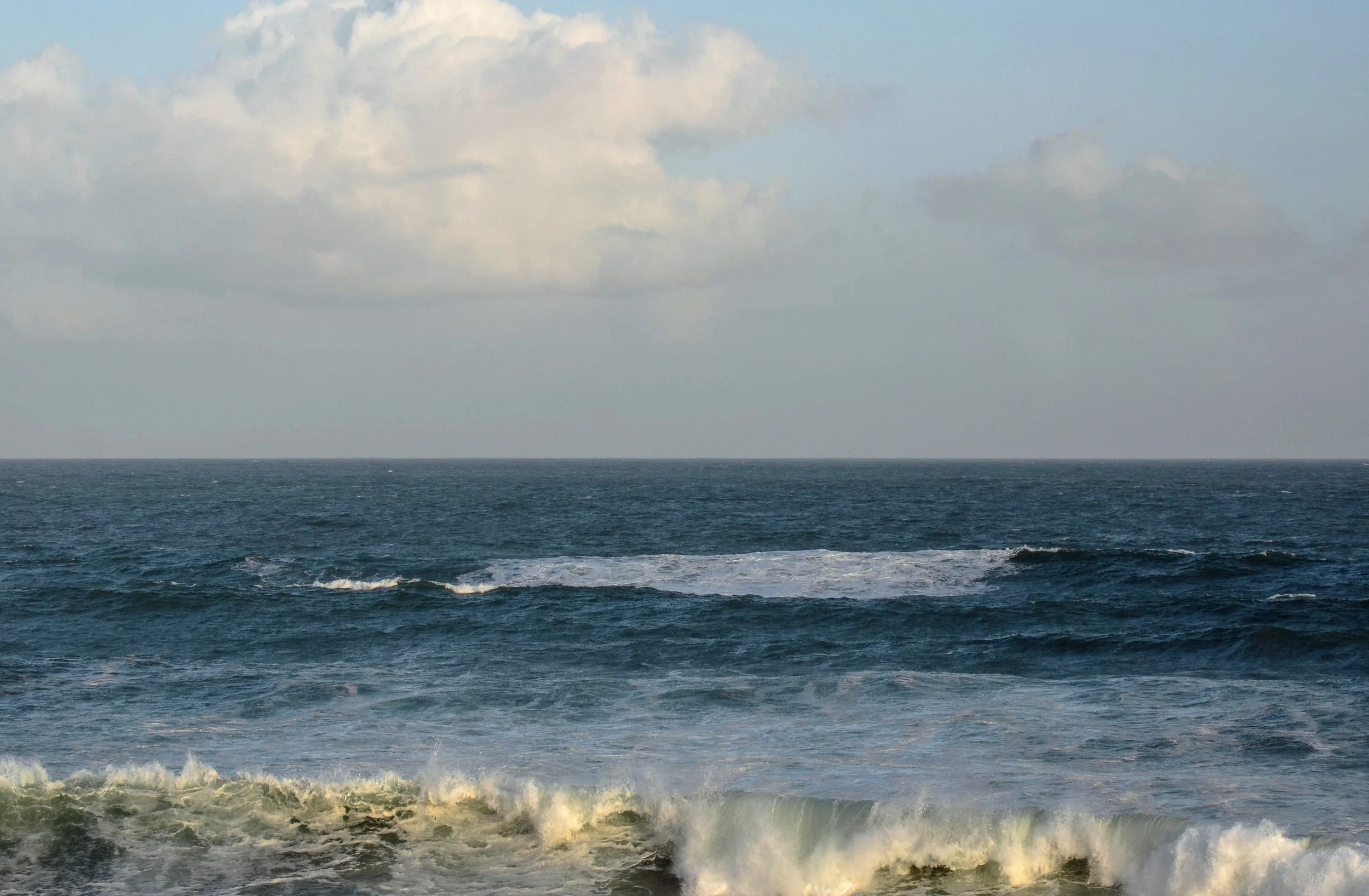 DSC_6498_edited-1.jpg 1.jpg