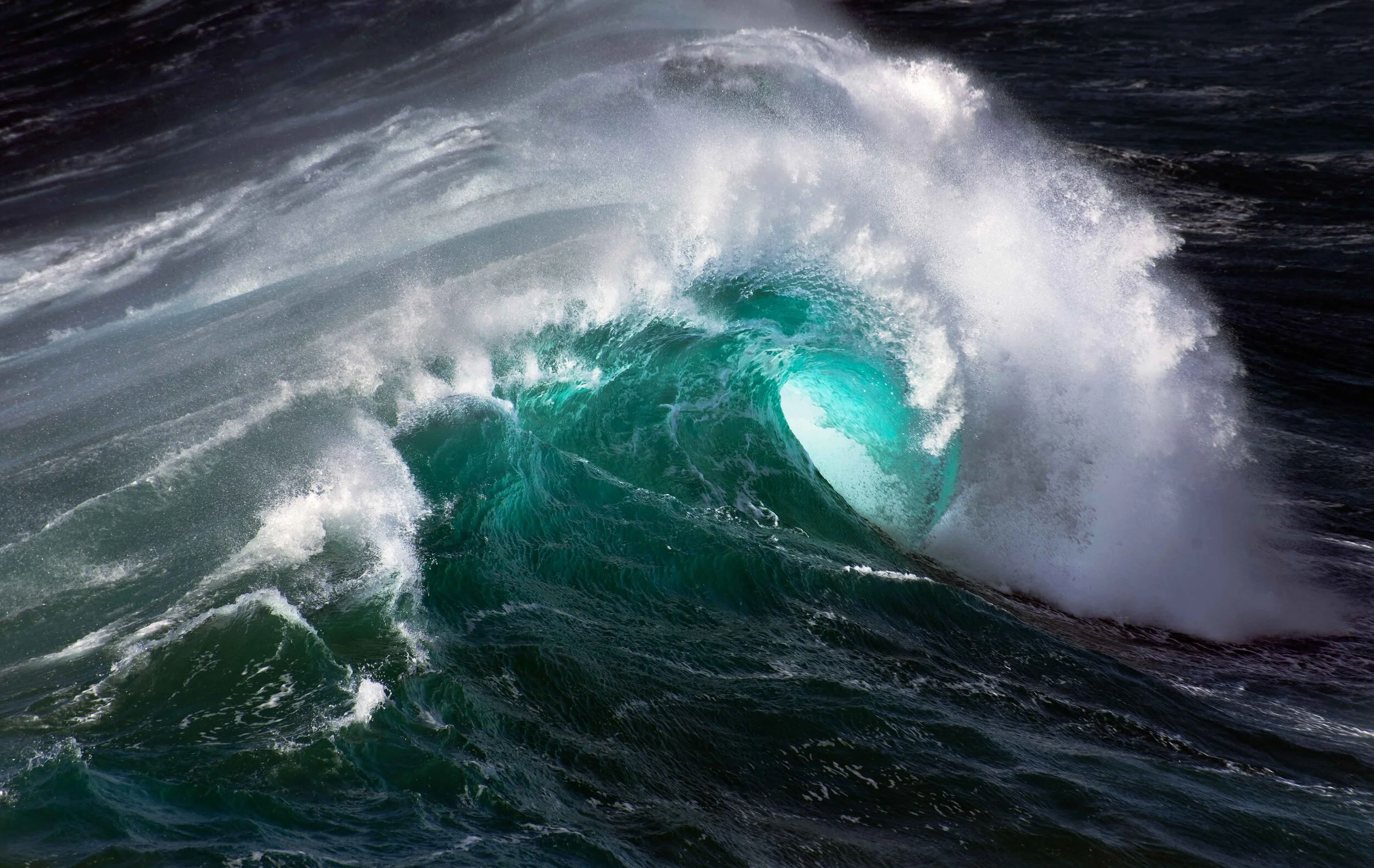 Whipsiderry Wednesday.