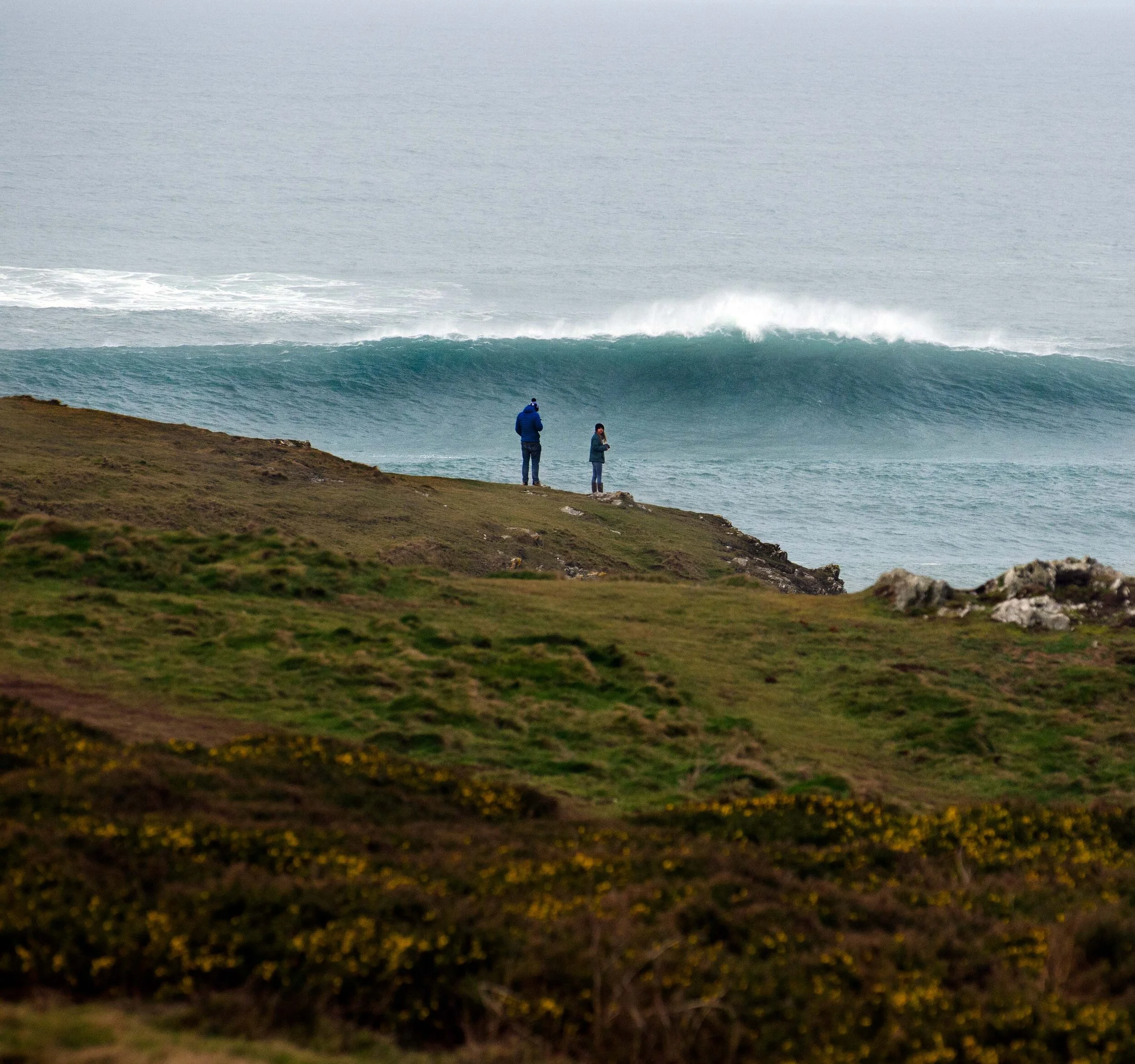 Pentire Headland