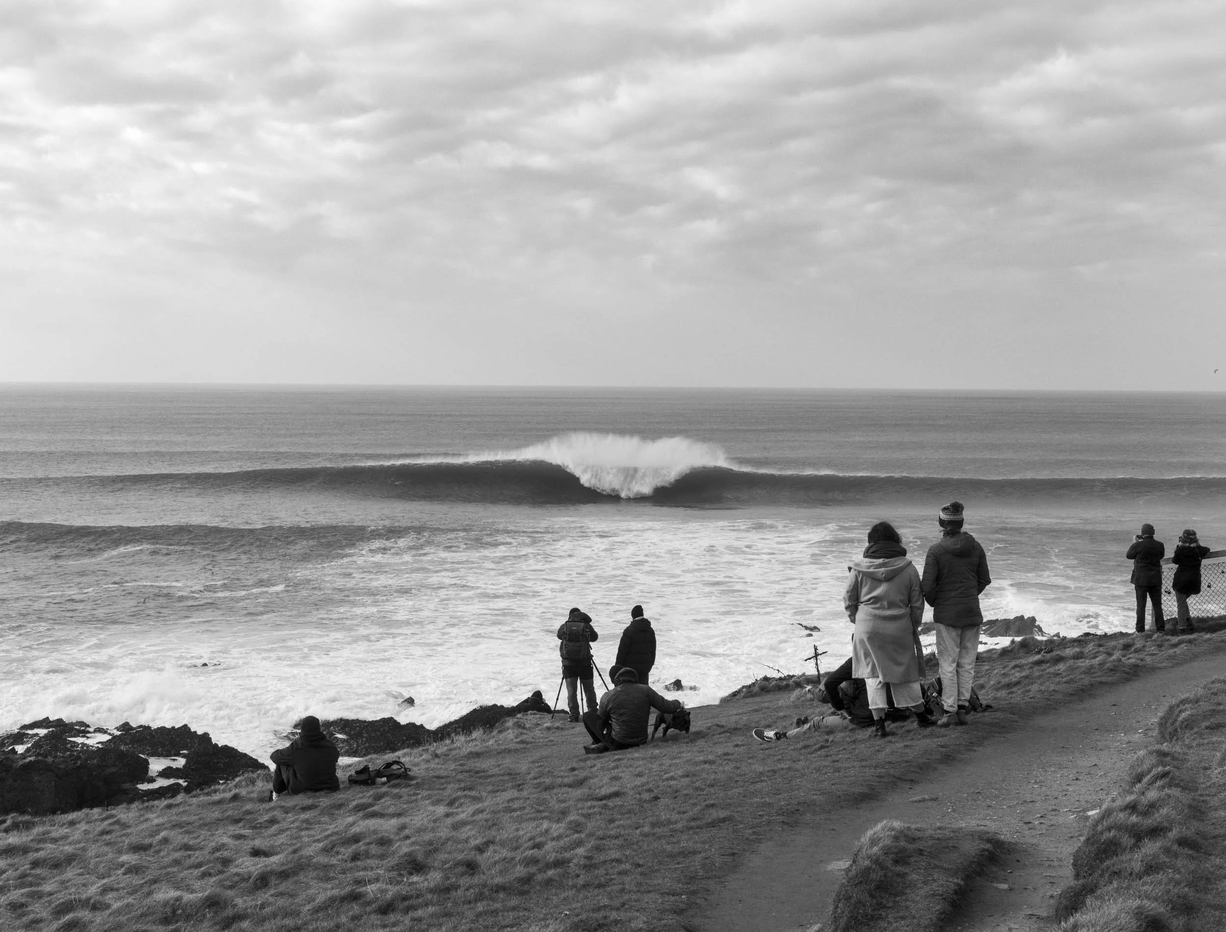  Cribbar reef- Jan.  2025 