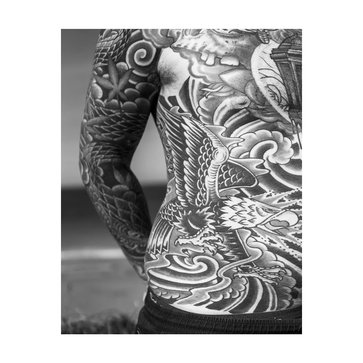 #OFFSEASON project development 

#birds #kernow #newquay #bnw #blackandwhite #motion #wing #photobook #photography #birdlife #winter #loss #nature #art #fineartphotography #tattoo #bodyart #ink #tatts #uk #cornwall #transience #alone #together #fligh