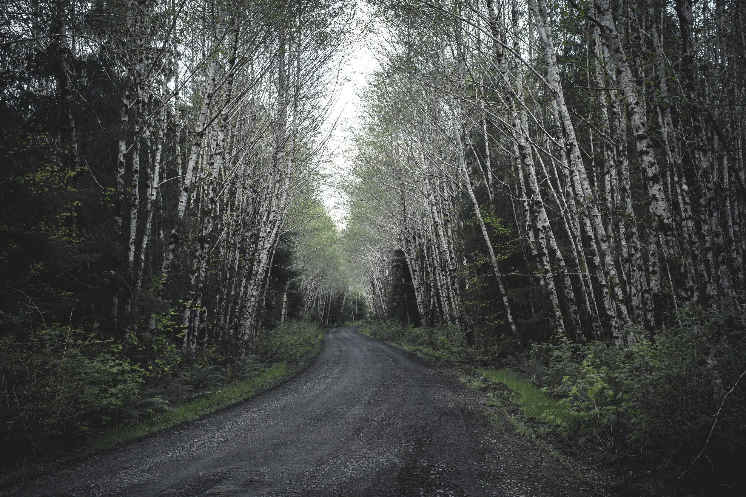 Just a little introduction