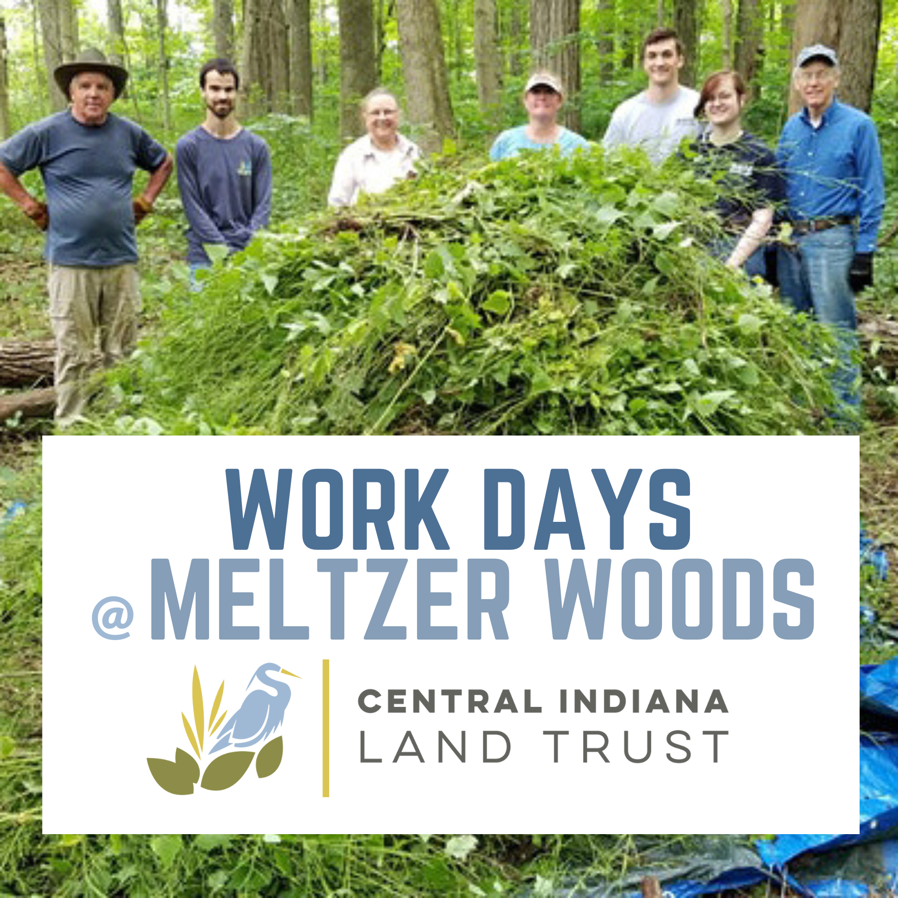 Central Indiana Land Trust: Garlic Mustard Pull at Meltzer Woods (April 15, 22, &amp; 29)