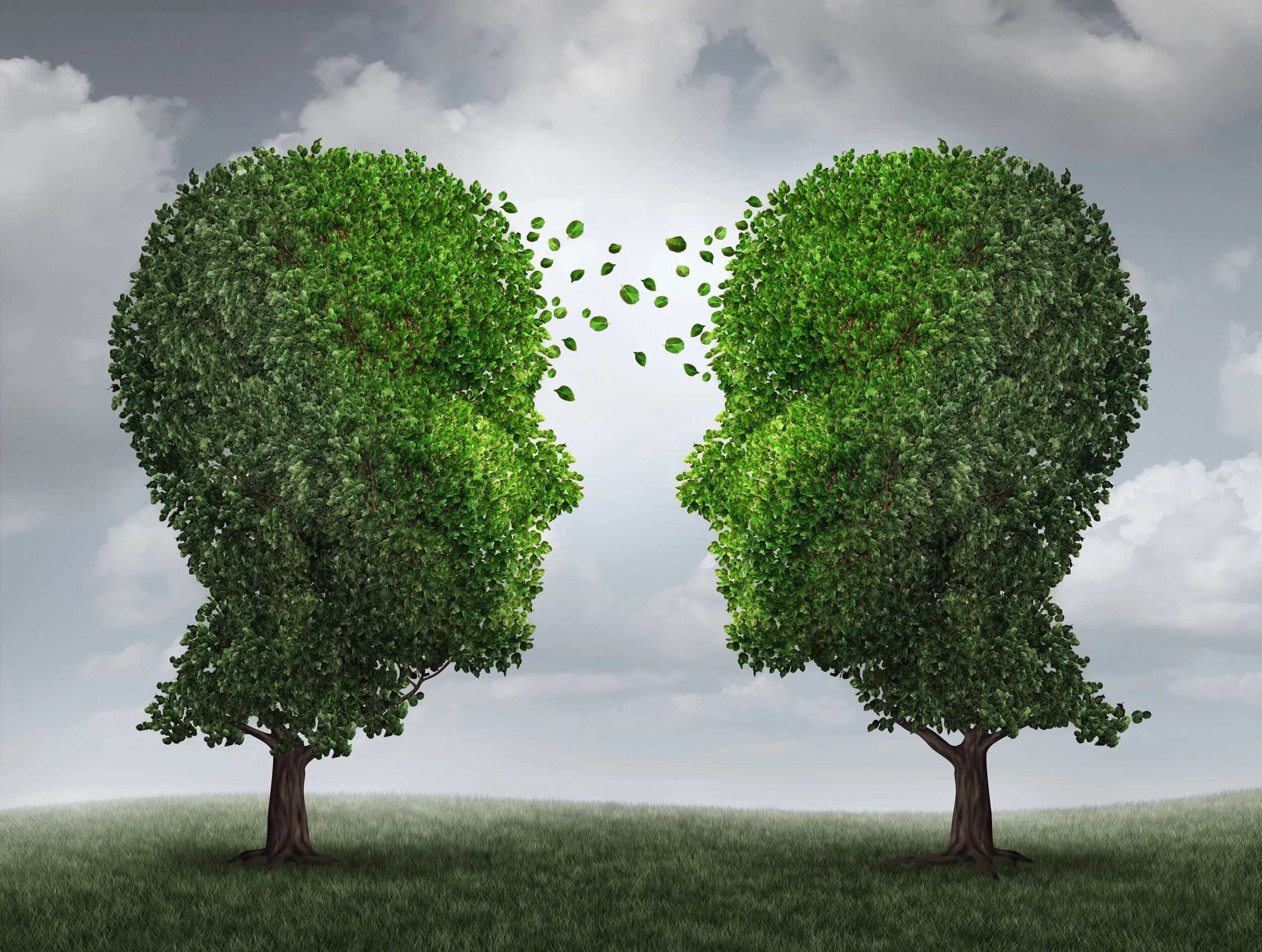 iStock-480472798.jpg