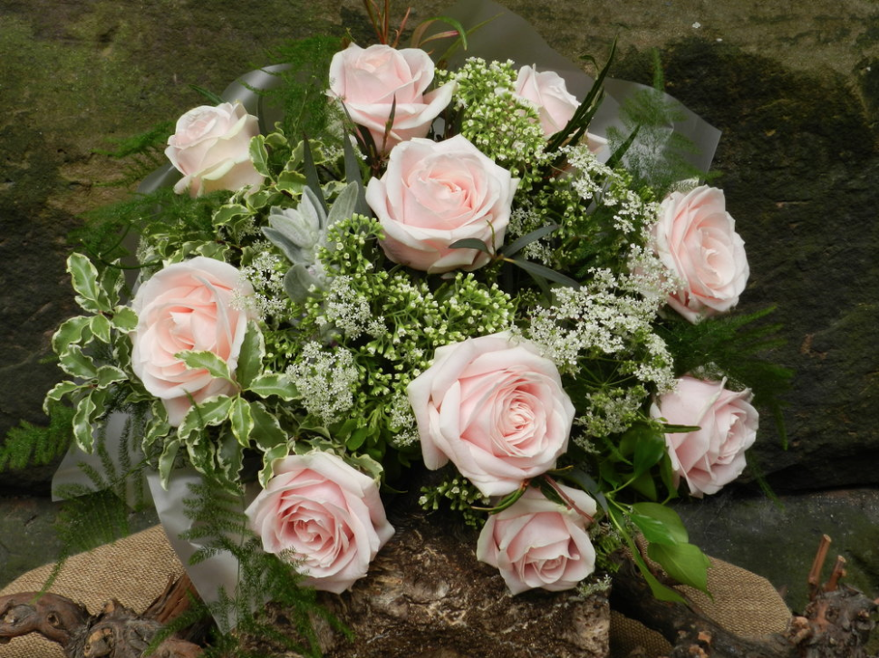MOSS — Stockton Heath Flowers Warrington Florist