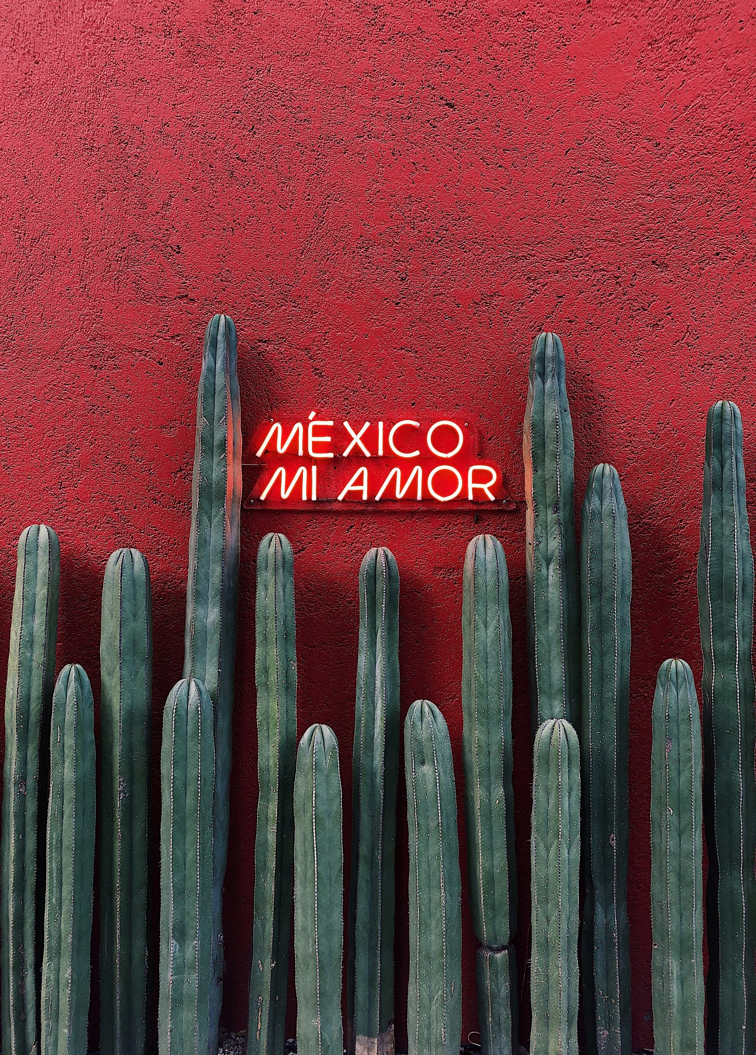 5 de Mayo