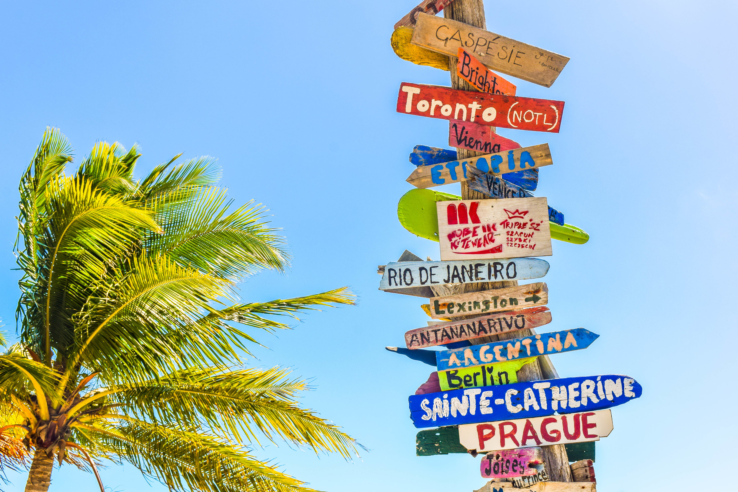 travel destinations on a stick and a palm tree