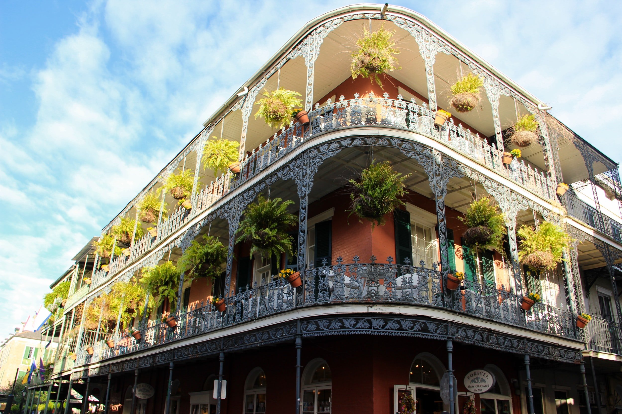 The Best Things To Do In New Orleans