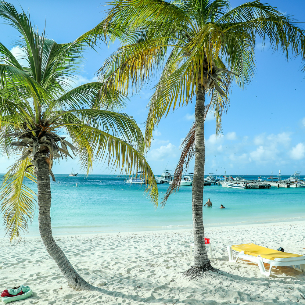 Best Things to Do in Aruba