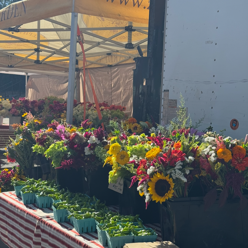 Top Things to Do in Crested Butte: Hiking, Dining &amp; Outdoors