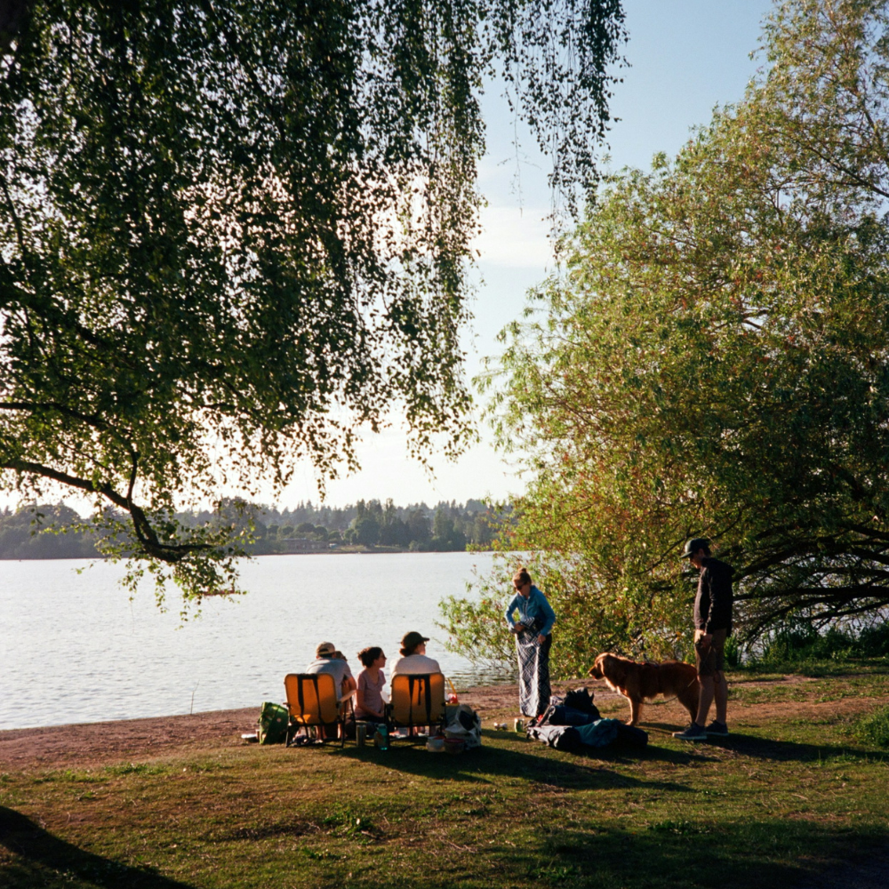 Family picnic in the park with parents, children, blankets, baskets, and playful outdoor activities