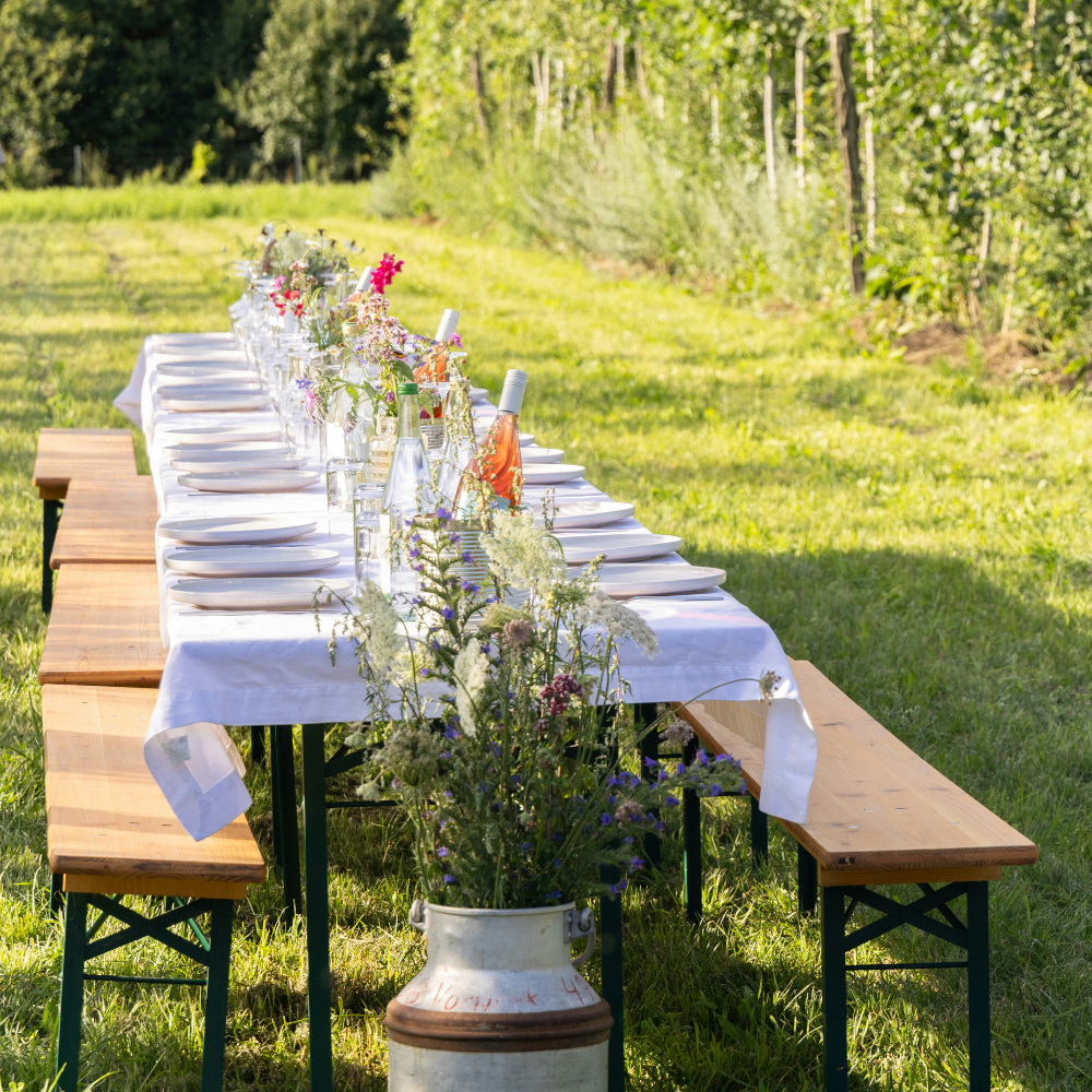 French countryside garden party with long table, fresh flowers, bread, and wine outdoors