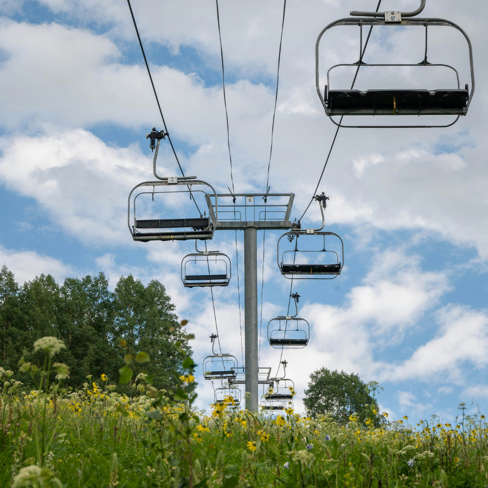 Panoramic mountain view near Crested Butte, Colorado with wildflowers and alpine peaks