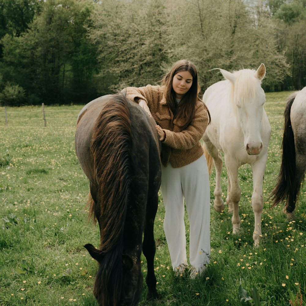 Horseback riding through the valleys of Jackson Hole, Wyoming, with the Teton Mountains in the distance.