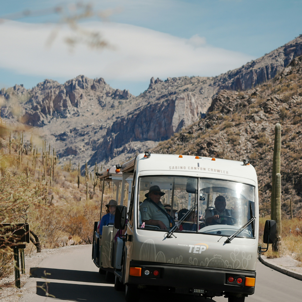 Best Things to Do in Tucson, Arizona: Complete Travel Guide